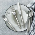 Tidal Frosted 5 Piece Everyday Place Setting