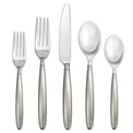 Tidal Frosted 5 Piece Everyday Place Setting