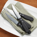 Garrison 4pc Jumbo Steak Knife Set